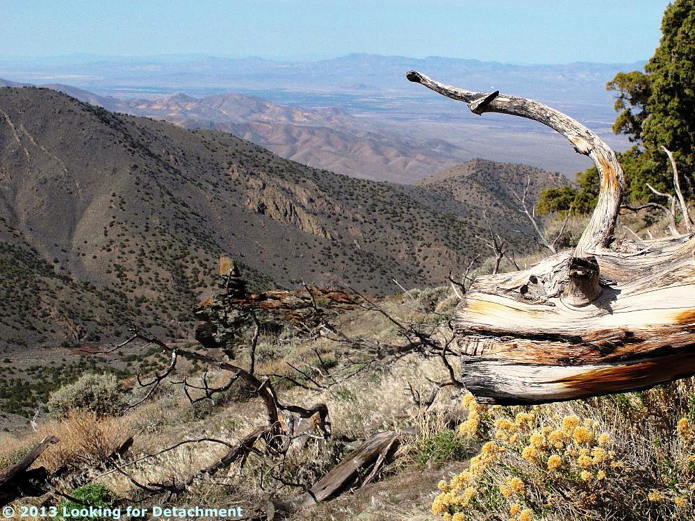 Looking For Detachment Views from the Field Humboldt River Basin
