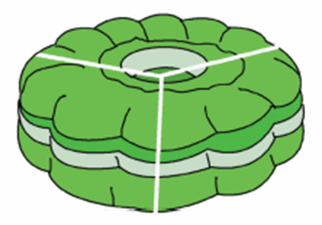 Membagi Puding