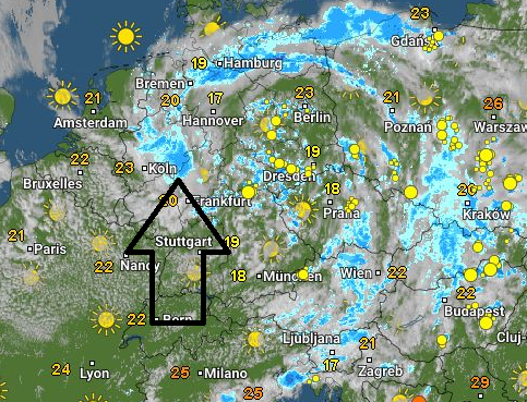 Zoom Festival Mushroom Online