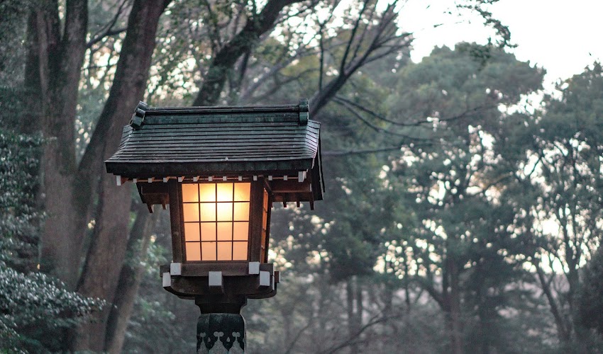Tokyo: Yoyogi Park and Meiji Jingu Shrine