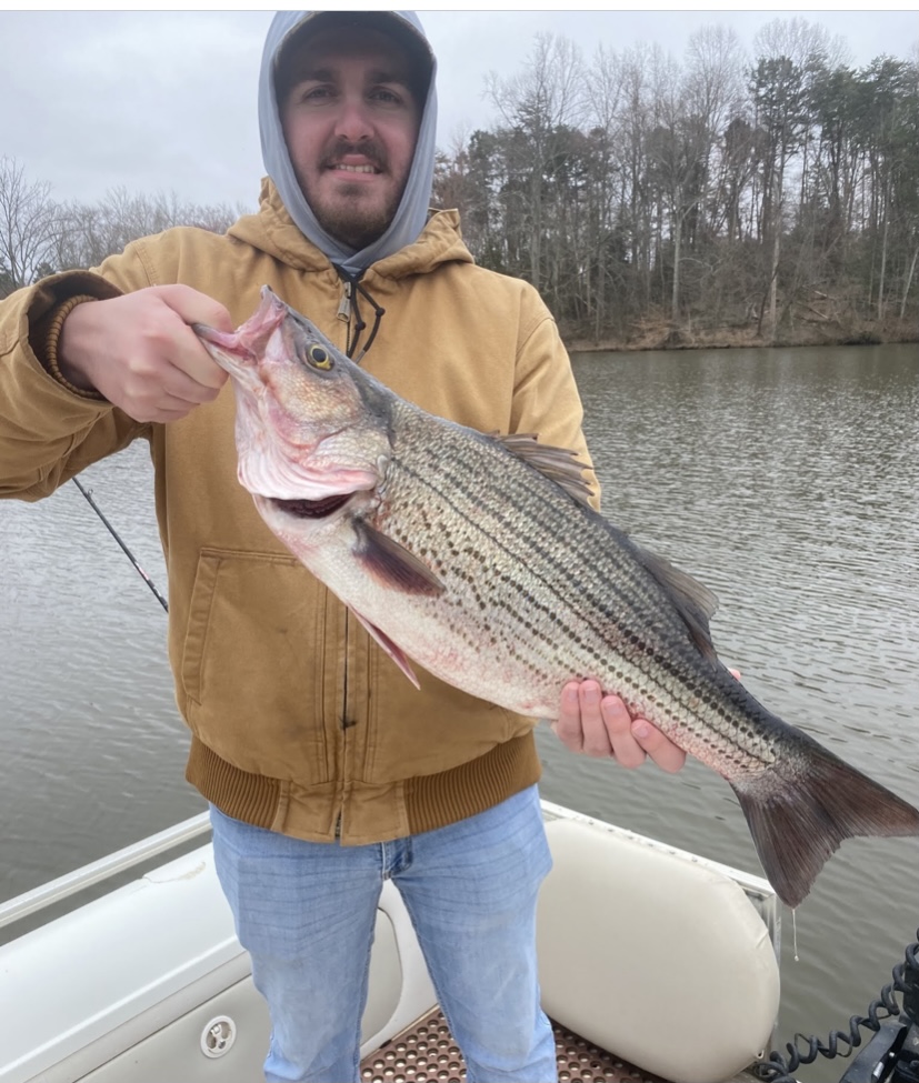 Striper Report 2021 Lake Anna Citations Jim Hemby Guide Service VA Outdoors