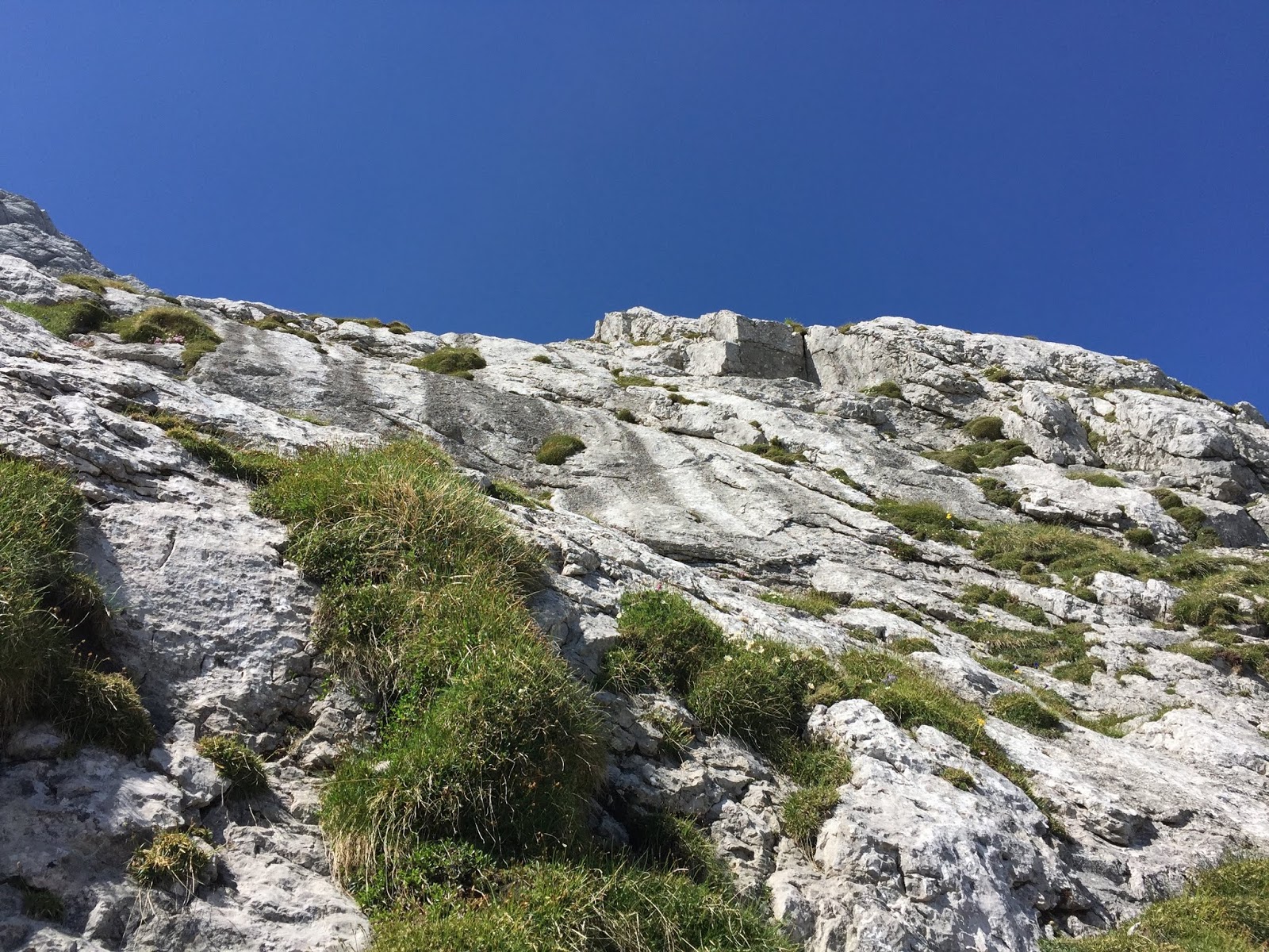 Krxln Rotpalfen Eisbartour 14 Sl 5 5