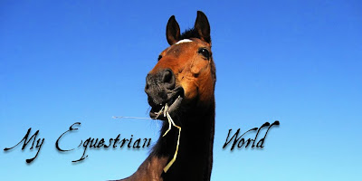 My Equestrian World