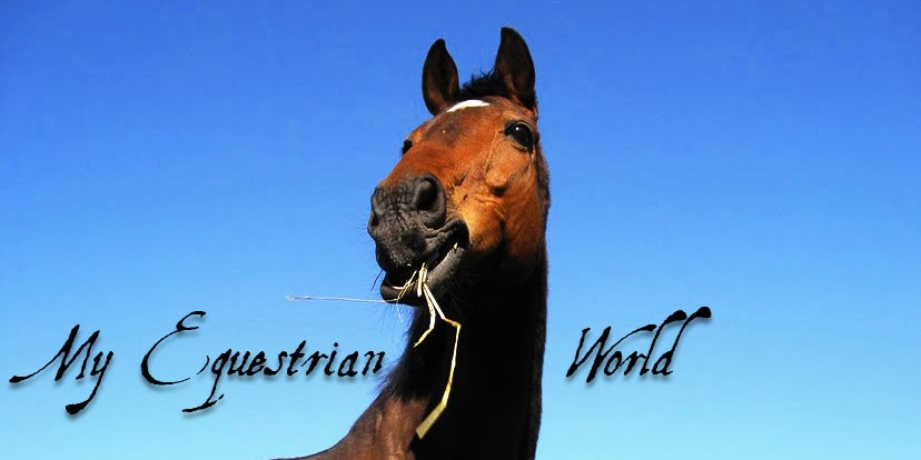 My Equestrian World