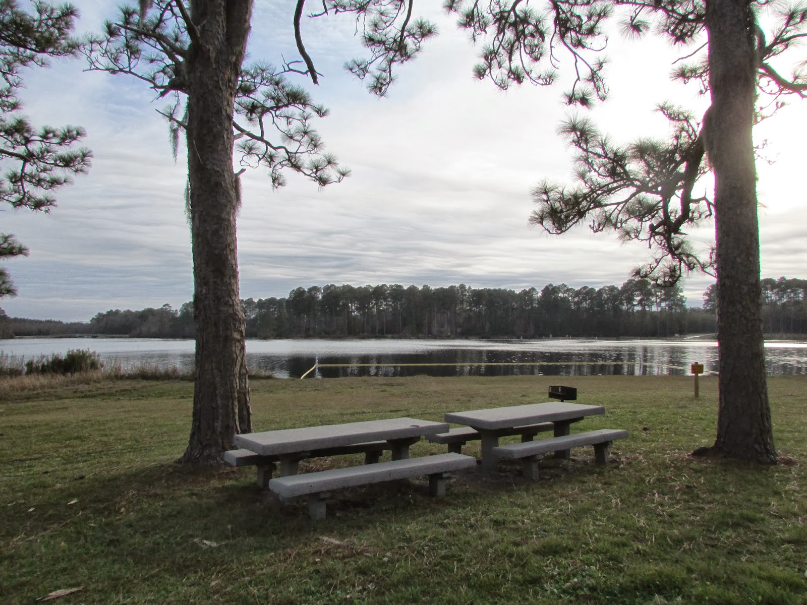 Adventures Of Toaster: Laura S. Walker State Park, Waycross, GA.