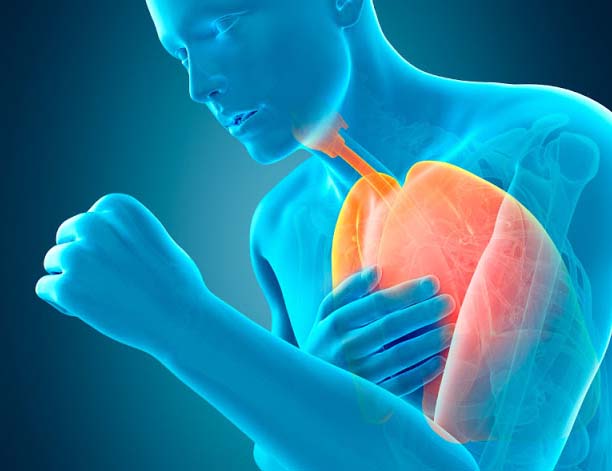 heart relevant illnesses Elevated stages of saw-palmetto extract utilization can pave way to blood loss or sexual issues in females; it can also show the way to heart relevant illnesses particularly to the current heart sufferers due to the existence of cholesterol akin chemical.