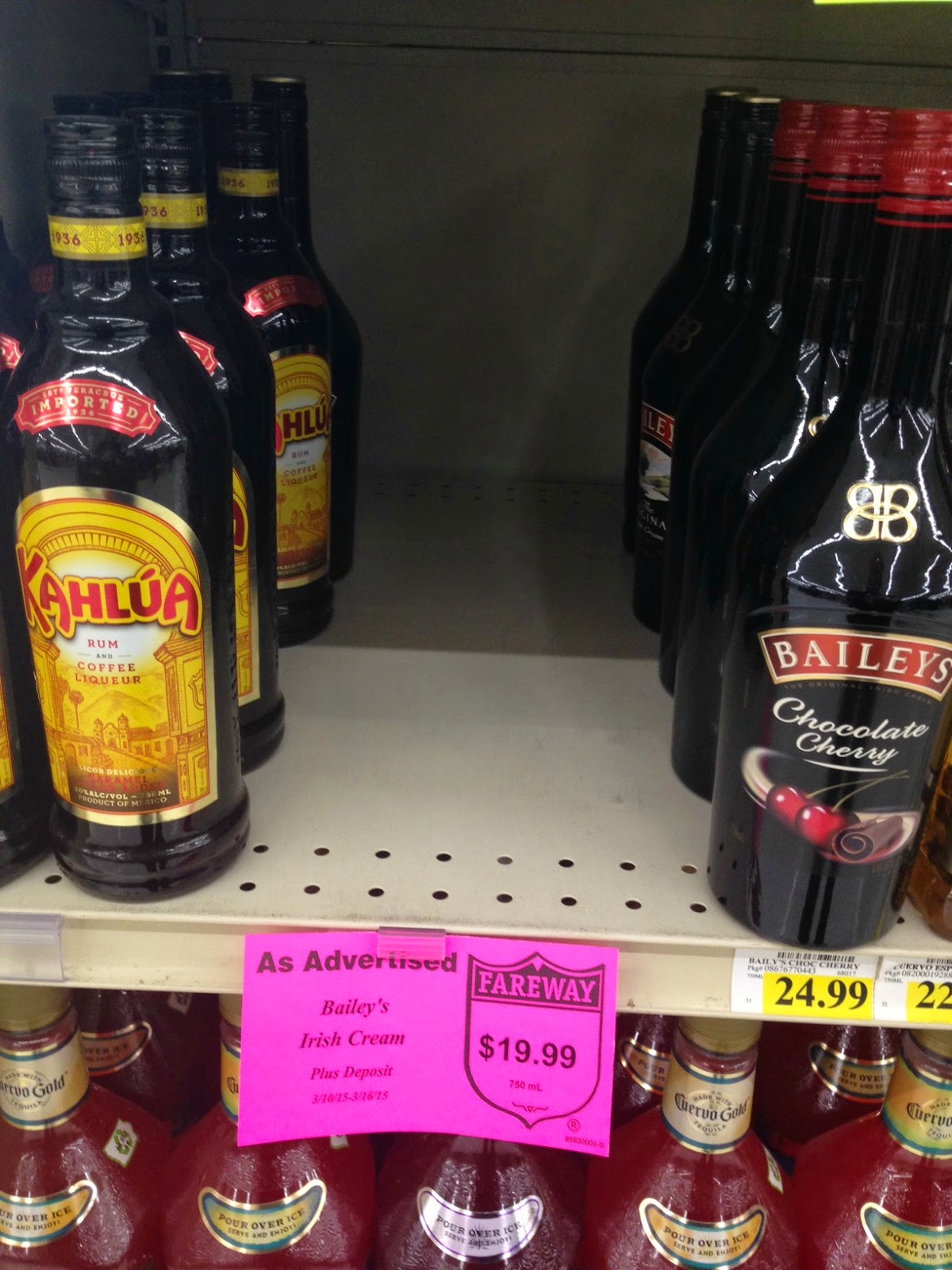 Director Debbie's Camper Girl RoundUp Bailey's Bargain