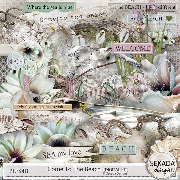 https://www.digitalscrapbookingstudio.com/sekada-designs/?category_id=97