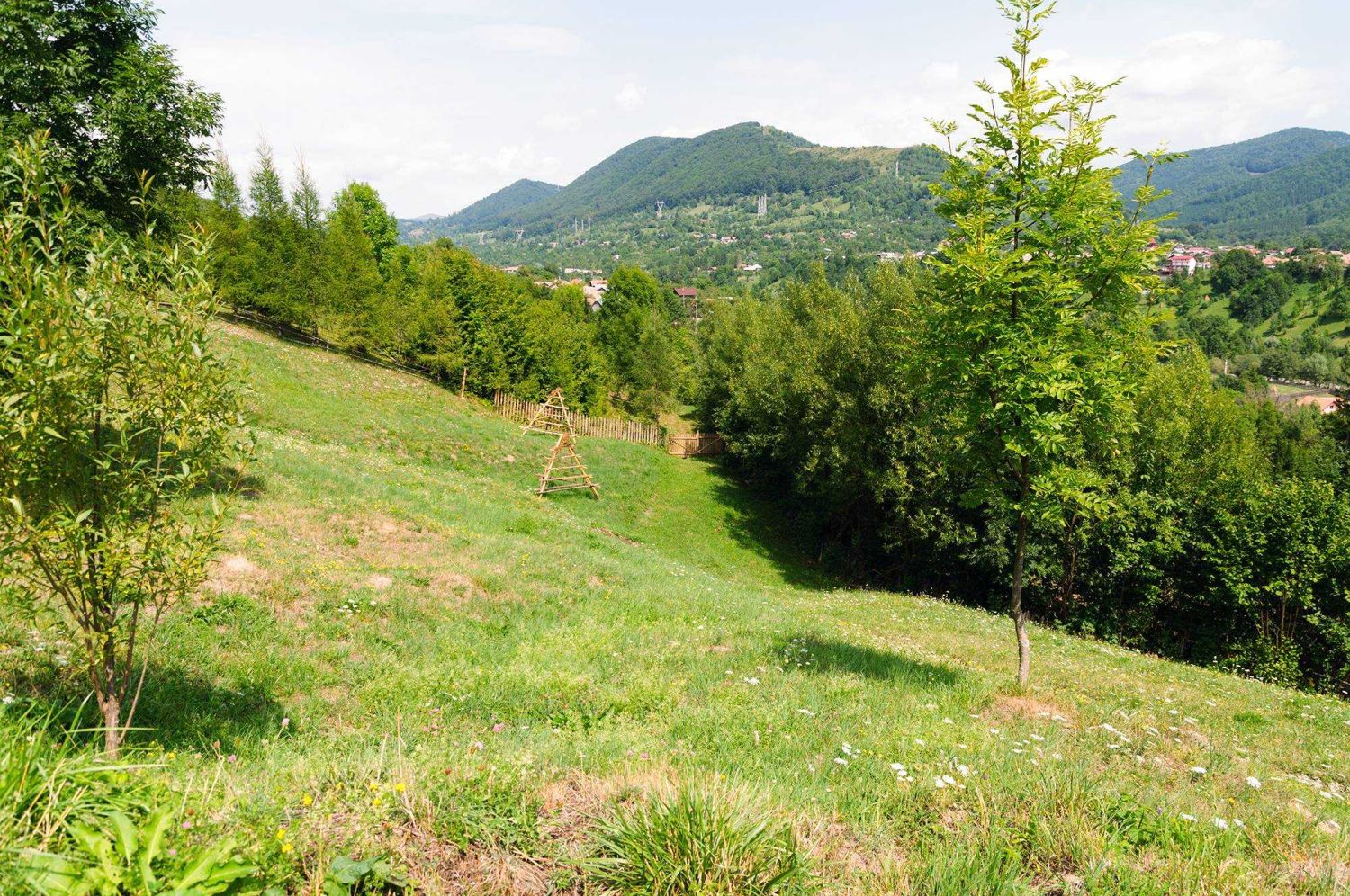 Land for sale in Romania 10000 square meters, 10 euro/sqm