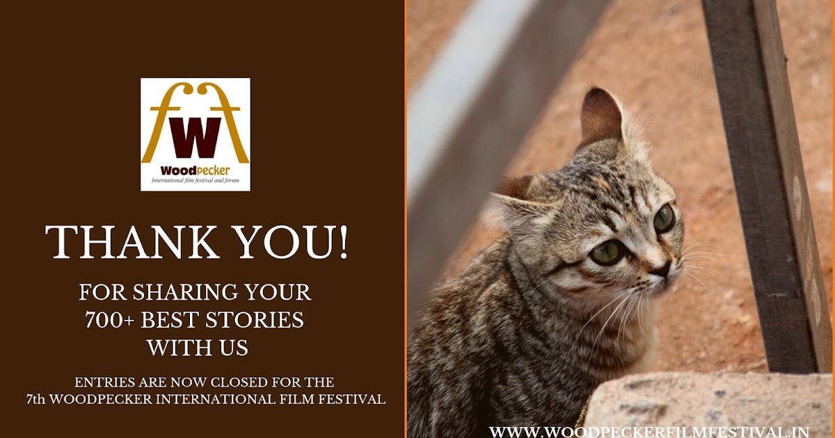 Entries now closed for 7th Woodpecker International Film Festival (WIFF)