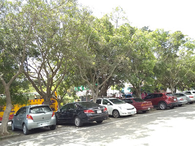 中壢社大週日趴趴走台中一日遊-第一休息站-三義車亭