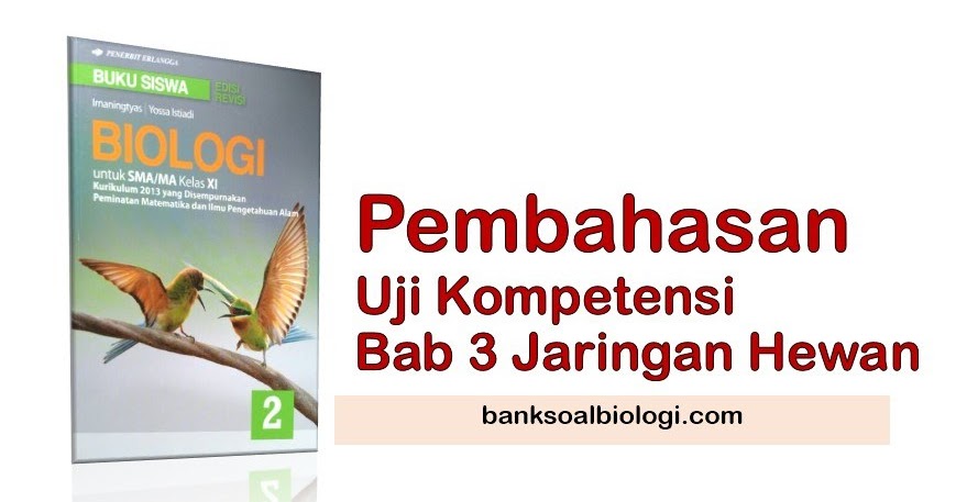 Jawaban Soal Uraian Biologi Buku Erlangga Kelas Xi Bab 3 Struktur Dan Fungsi Jaringan Hewan Bsb