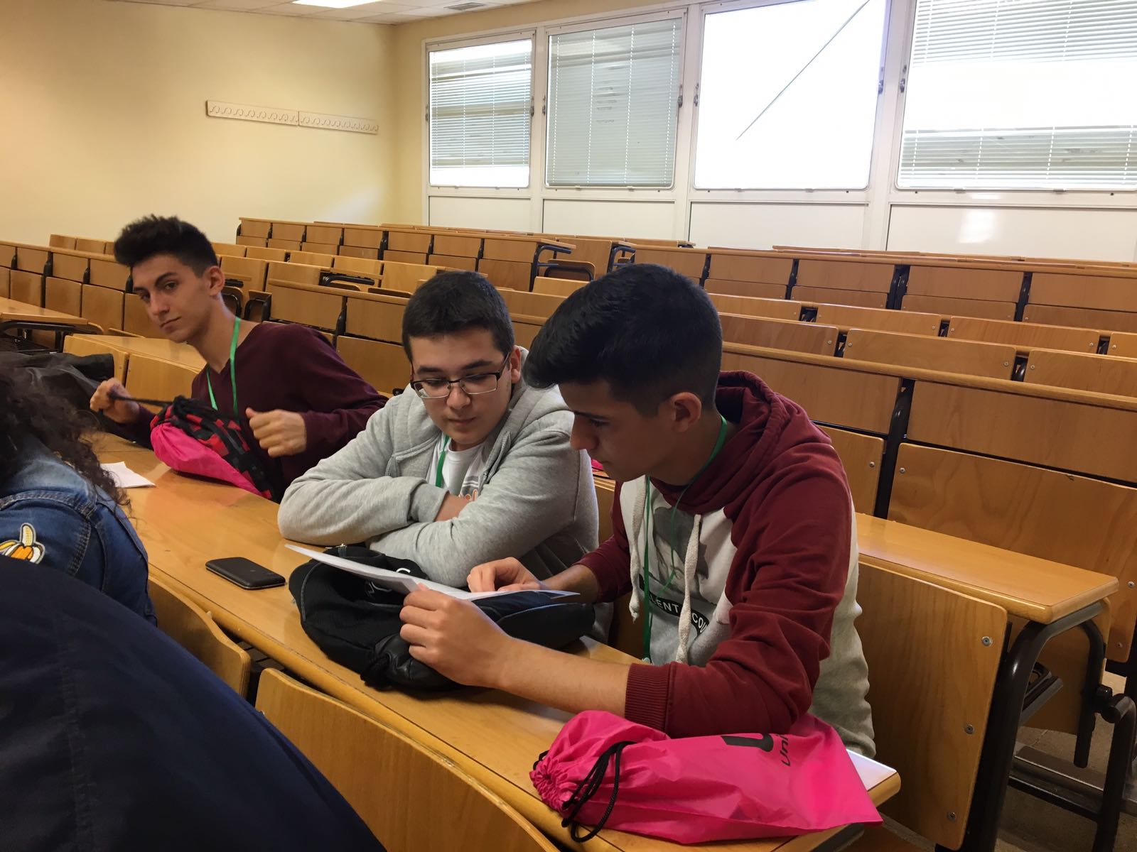el-complemento-extraescolar-proyecto-de-investigaci-n-piiisa