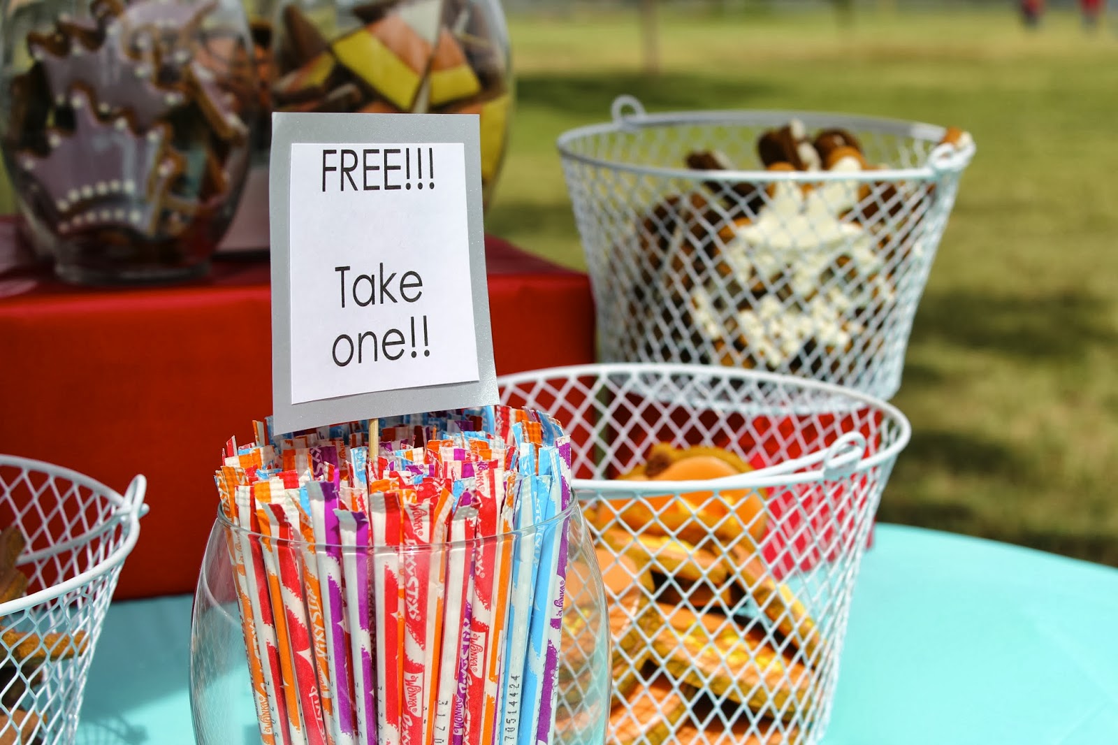 My Dog Treat Vendor Display Treat Dreams...are made of this