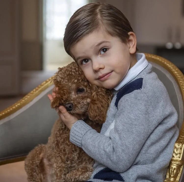 Prince Oscar was photographed with Princess Estelle at Haga Castle before his birthday. Prince Oscar wore a gray wool cashmere sweater