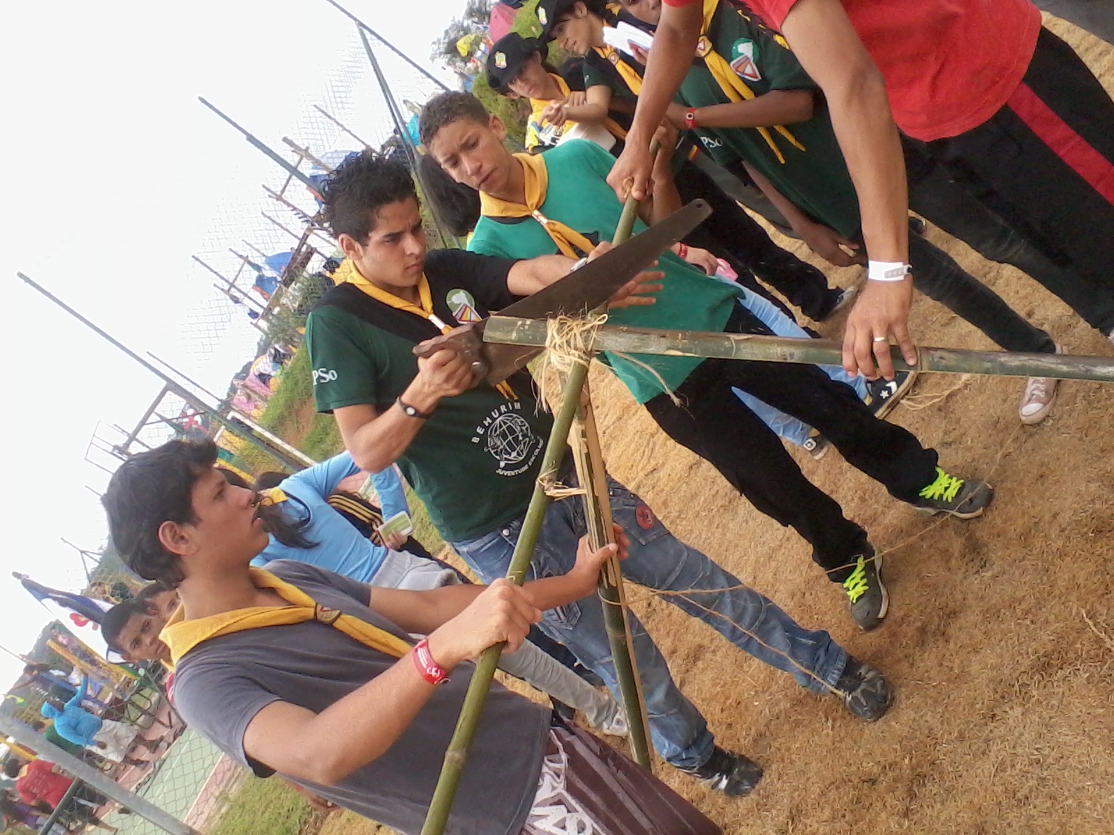 Sonhos de Beatriz Bianca! O que