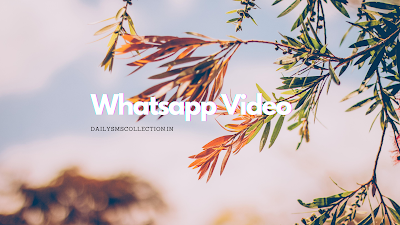 10 Whatsapp Video 2022