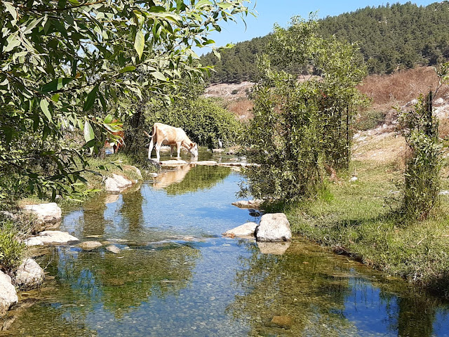 מעיין הסוסים- עין יבקע מעיין הסוסים- עין יבקע