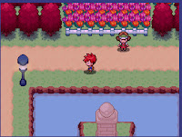 Pokemon The Keepers of Order Screenshot 03