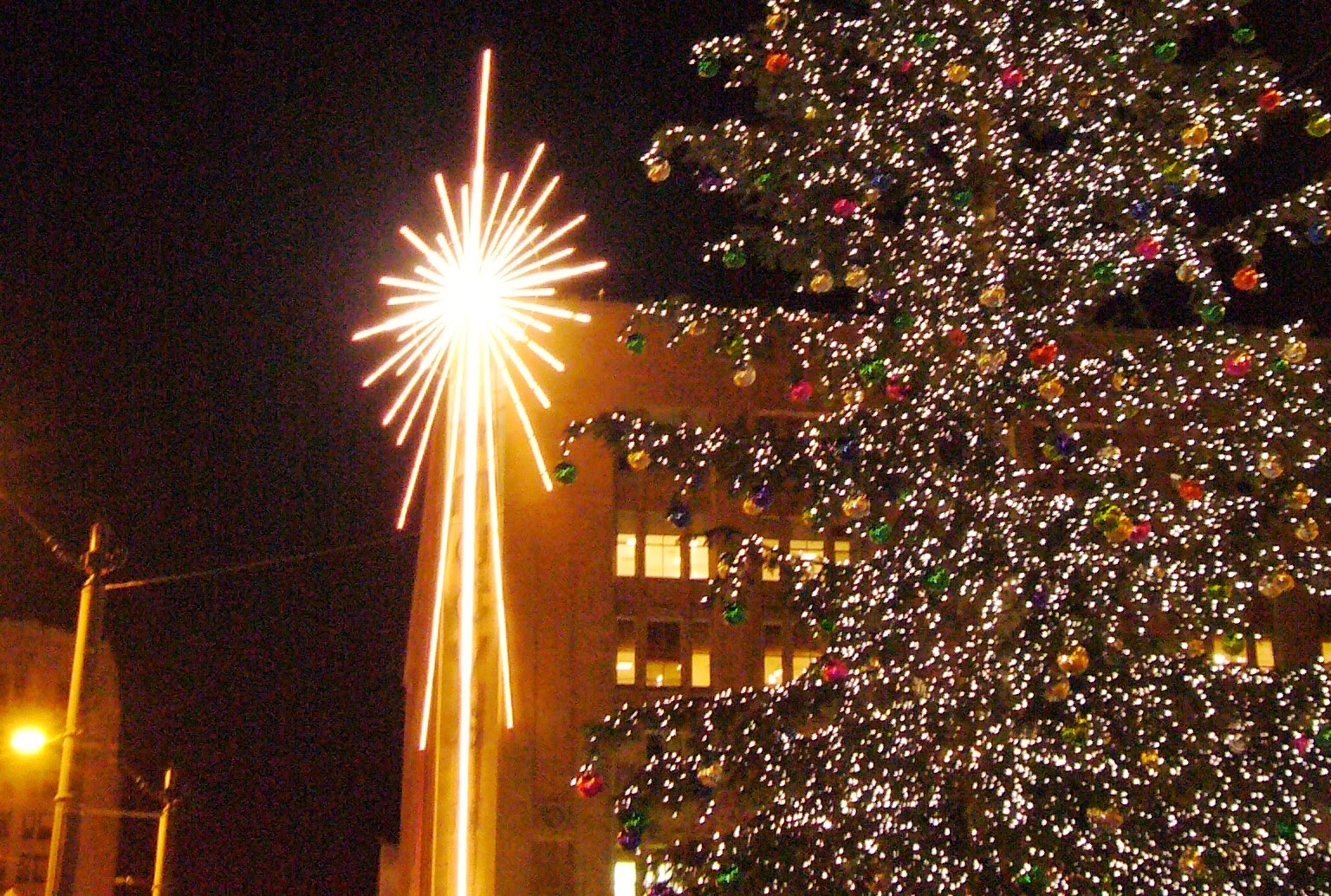 Pacific NW Travels and Tails Free Seattle Christmas Fun