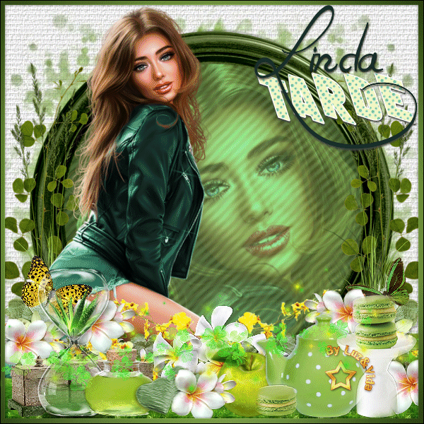 Novo25-%2B%2528MB%2529maryluz.gif