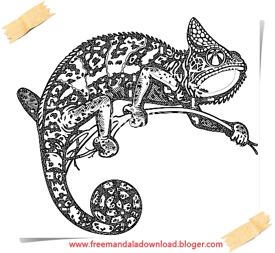 Lizard Mandala Malvorlagen-Lizard Mandala coloring page - Free Mandala