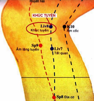 huyệt khúc tuyên
