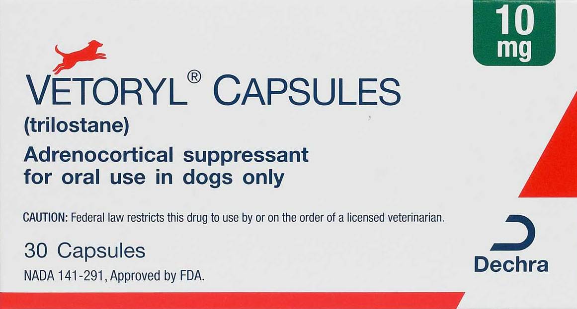 Online Pet Medicine - PetRx2Go: How to Restore Life in Dogs Suffering ...