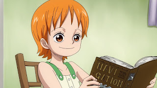 ワンピースアニメ | 麦わらの一味 ナミ 幼少期 | Nami Childhood
