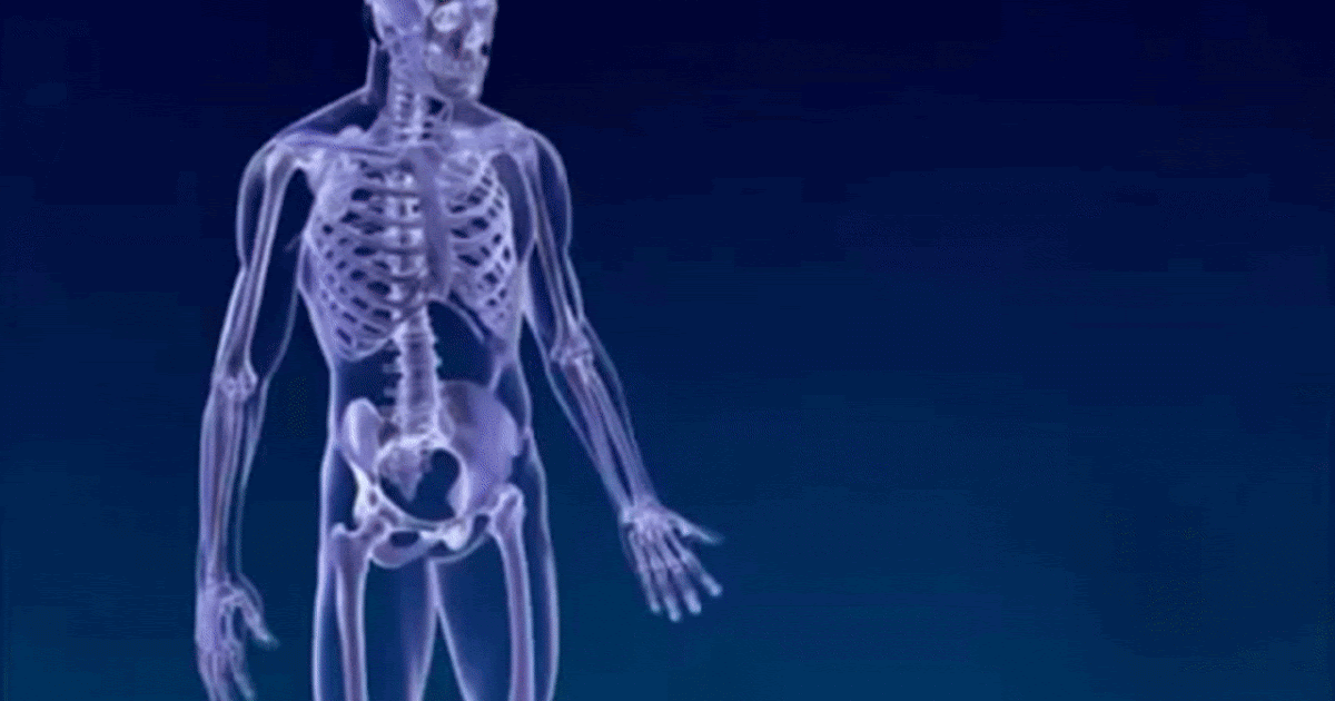 Anatomy of a Joints Anatomy Makpats