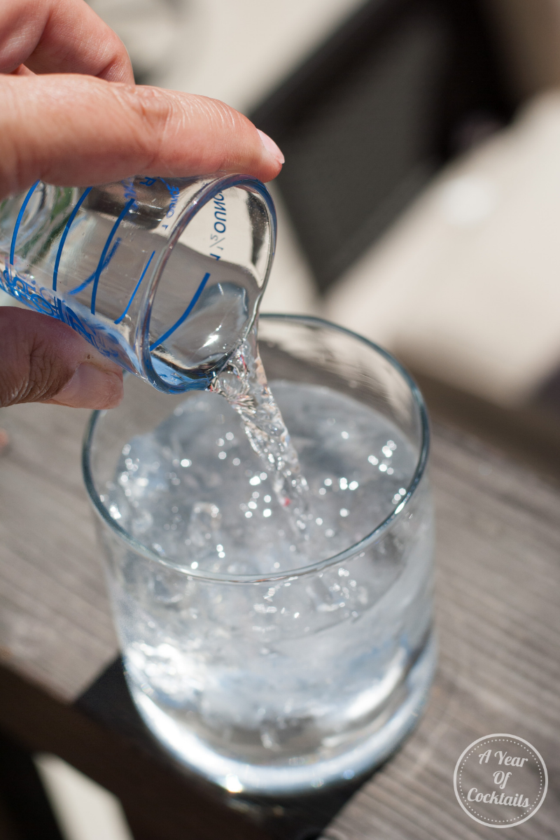 2 New Zero Sugar Vodka Soda Recipes A Year of Cocktails