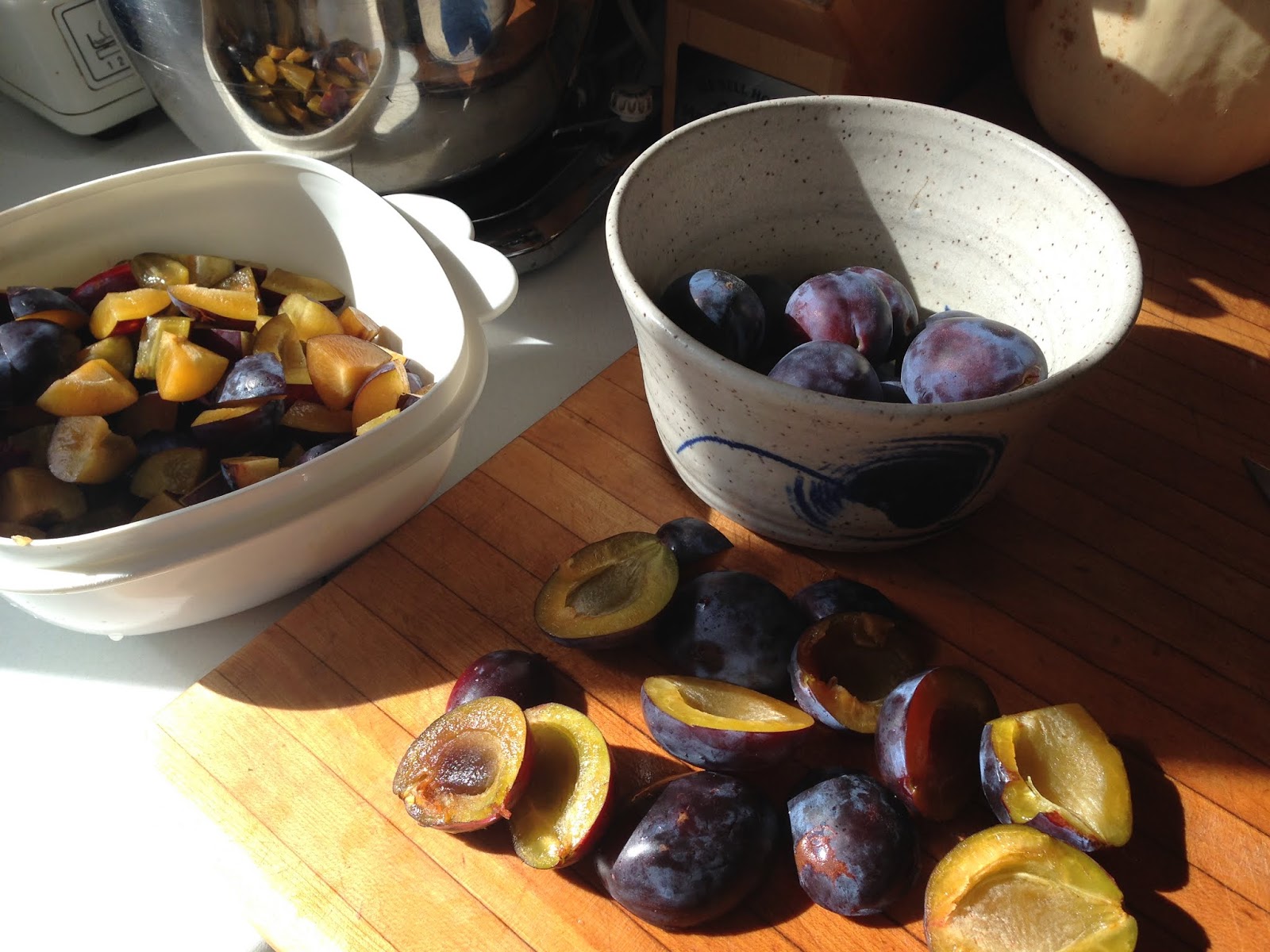 nicole's farm kitchen Italian prune plum squares