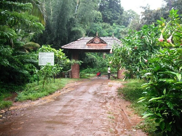 Silent Valley National Park Silent Valley National Park, Kerala Tourism