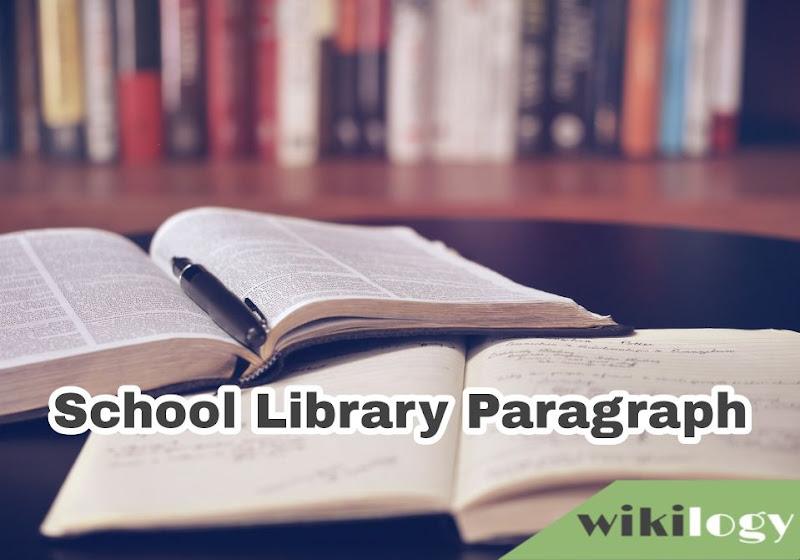 School Library Paragraph: Our/Your/My/A School Library