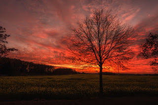Naturfotografie Sonnenuntergang sundowner Hamm Beckum