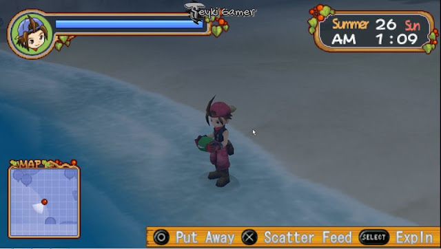 fishing-bait-harvest-moon-hero-of-leaf-valley fishing-bait-harvest-moon-hero-of-leaf-valley