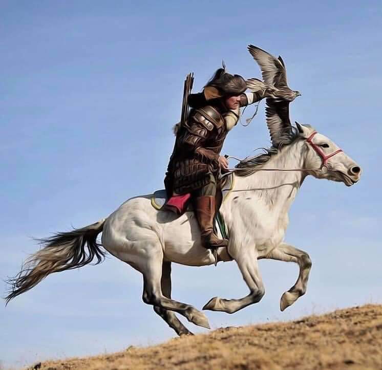 найманы картинки. найман суперзвезда. флаг найманов. найман суперзвезда. найман монгол.