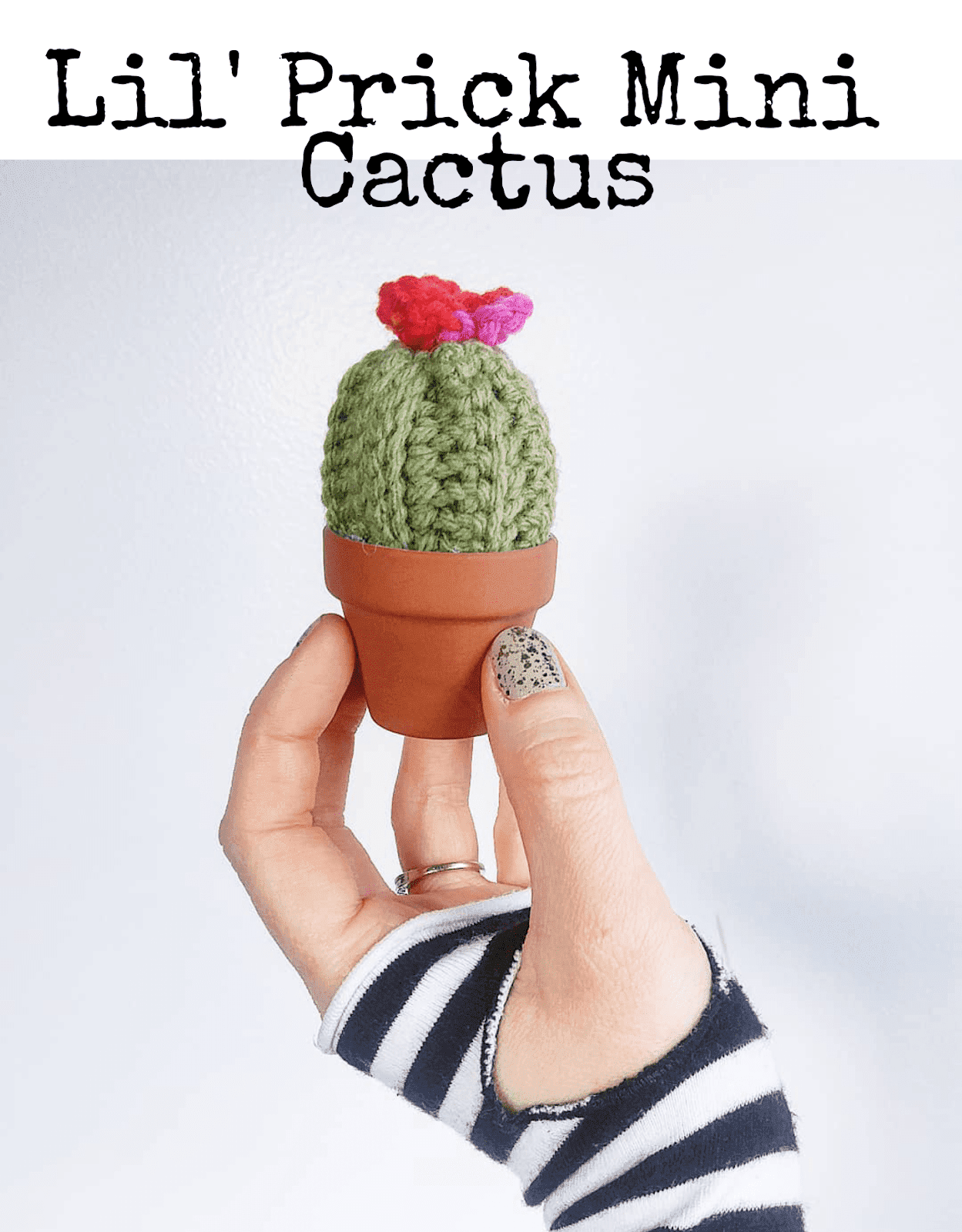 Verwonderend Cutest mini crochet cactus - Superleuke gehaakte mini cactus BD-58