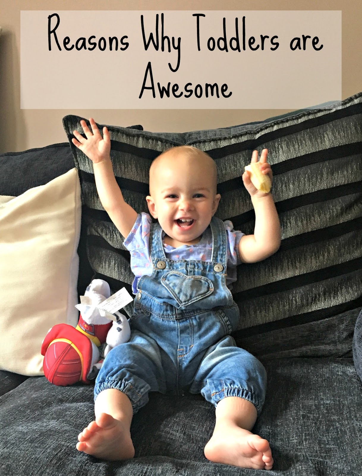 Being Mrs Lynch 6 Reasons Why Toddlers are Awesome