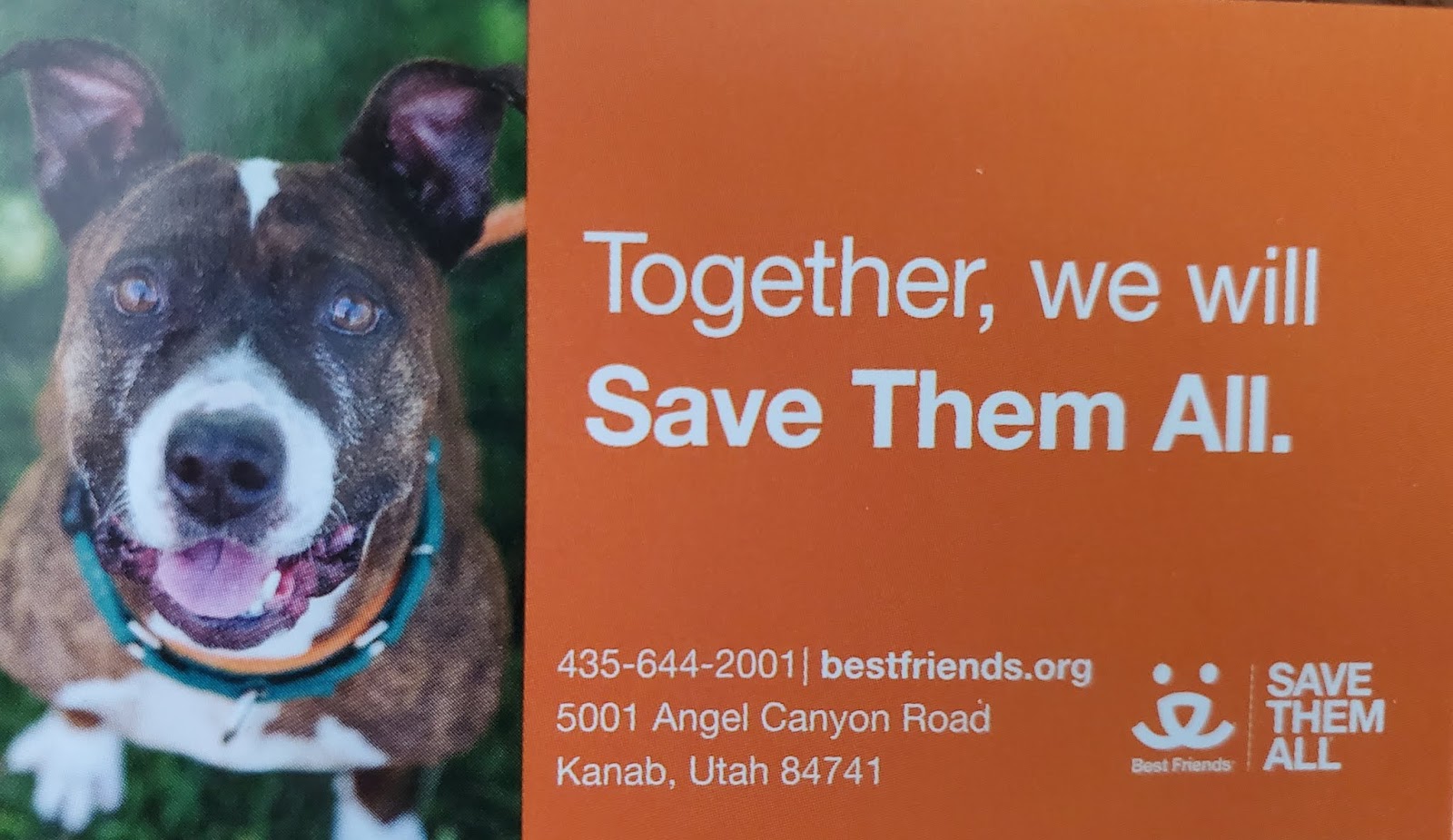 Best Friends in Kanab, Utah