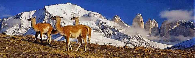 Parque Nacional Torres del Paine Torres del Paine National Park, Chile.