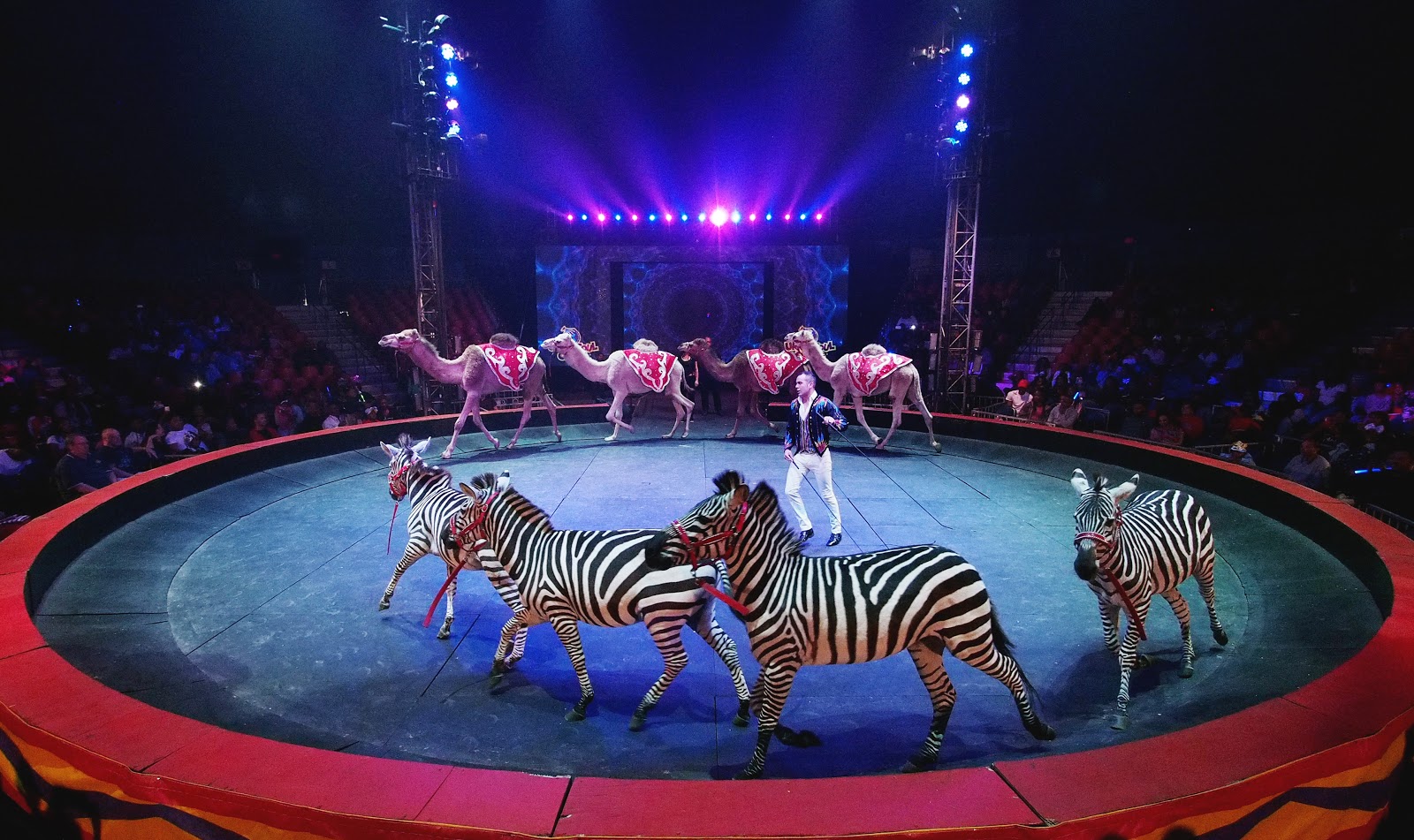 The 2017 UniverSoul Circus is All New and Better Than Ever! FabEllis