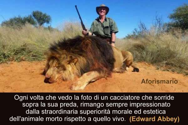 Aforismario Aforismi Frasi E Proverbi Sui Cacciatori