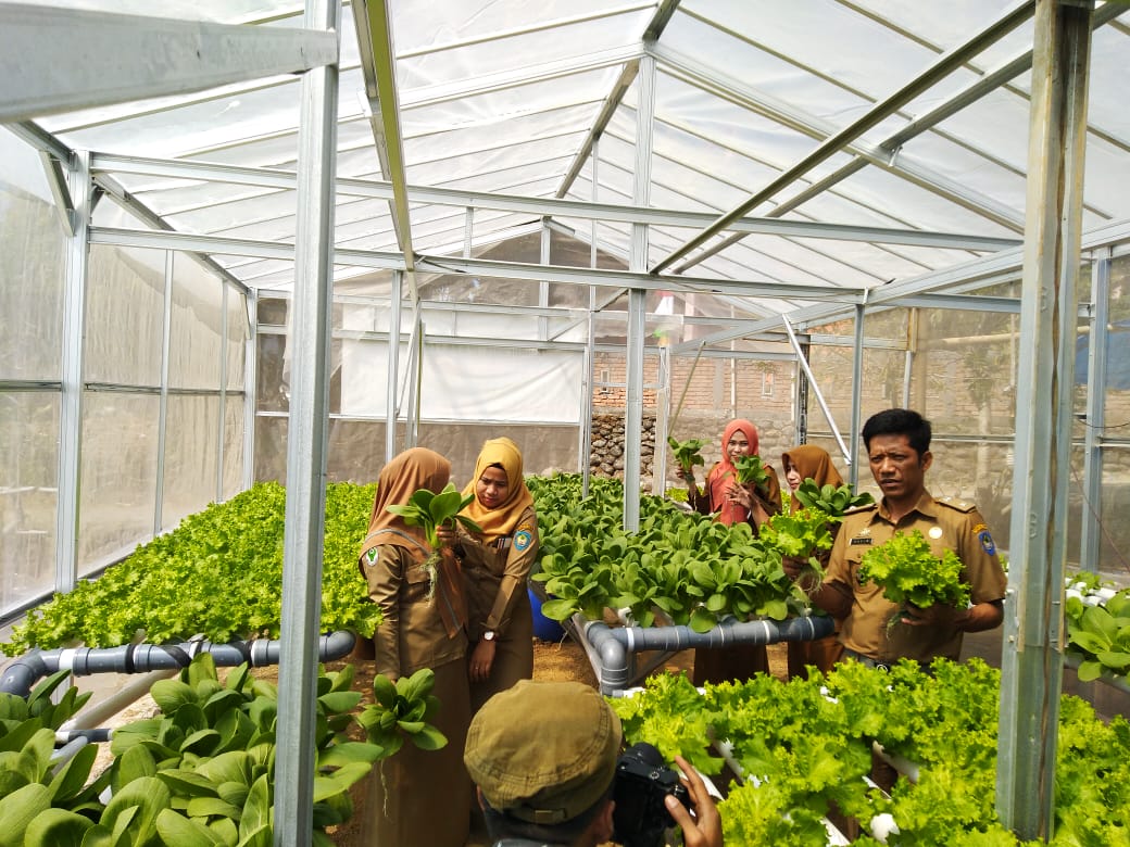 Hidroponik Pakatto 2019