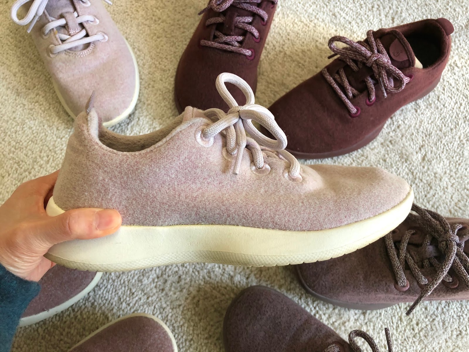 dr scholl's allbirds