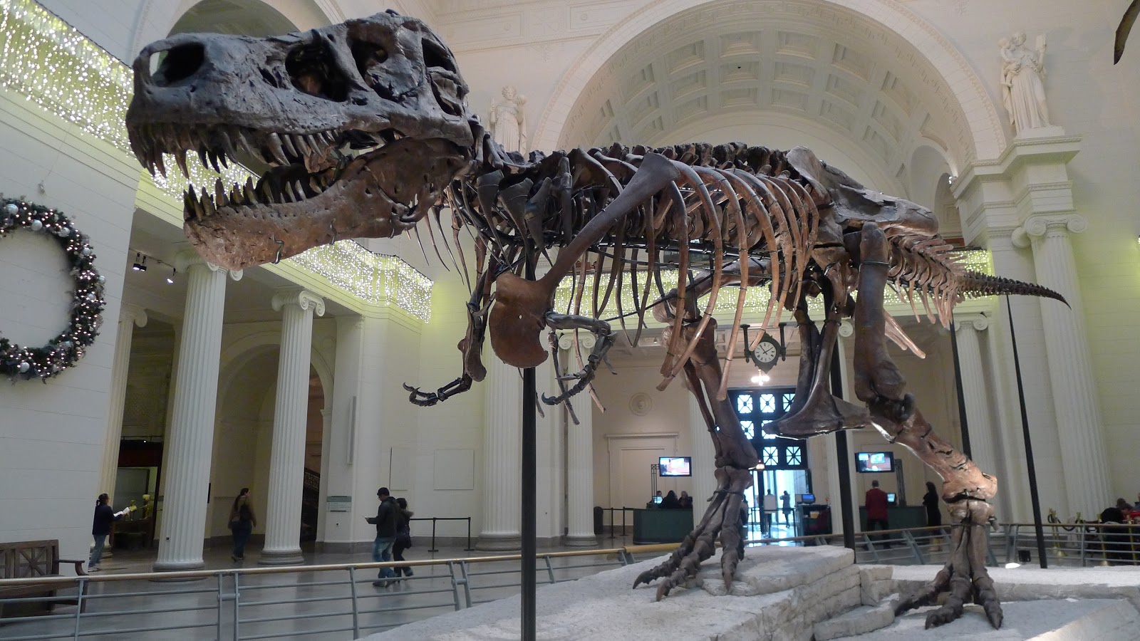 field museum chicago il