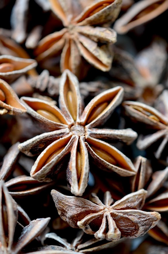 Gambar Bunga Lawang Atau Pekak Gambar Terbaru Hd