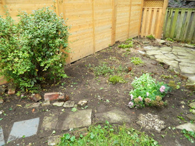 Riverdale Backyard Fall Cleanup After by Paul Jung Gardening Services--a Toronto Organic Gardening Company Riverdale Backyard Fall Cleanup After by Paul Jung Gardening Services--a Toronto Organic Gardening Company
