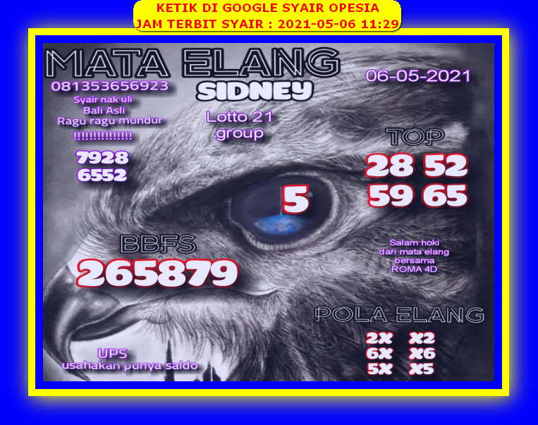 gambar togel sydney