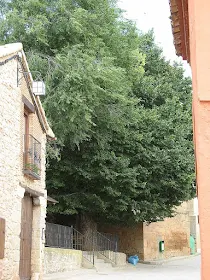 LA RECONQUISTA DE CAMAÑAS (SIGLO XII. CAMAÑAS)